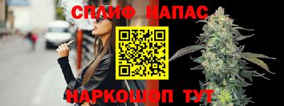 индика Можайск
