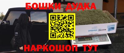индика Можайск