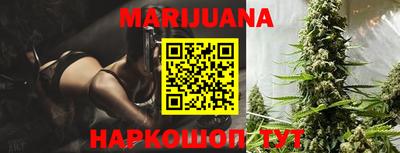 индика Можайск
