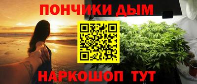 индика Можайск