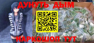 индика Можайск