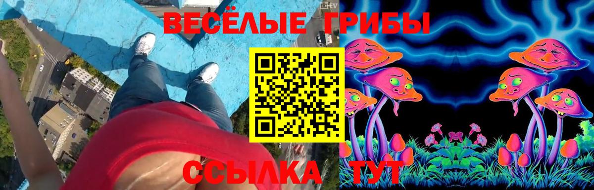 Псилоцибиновые грибы Psilocybine cubensis Ступино